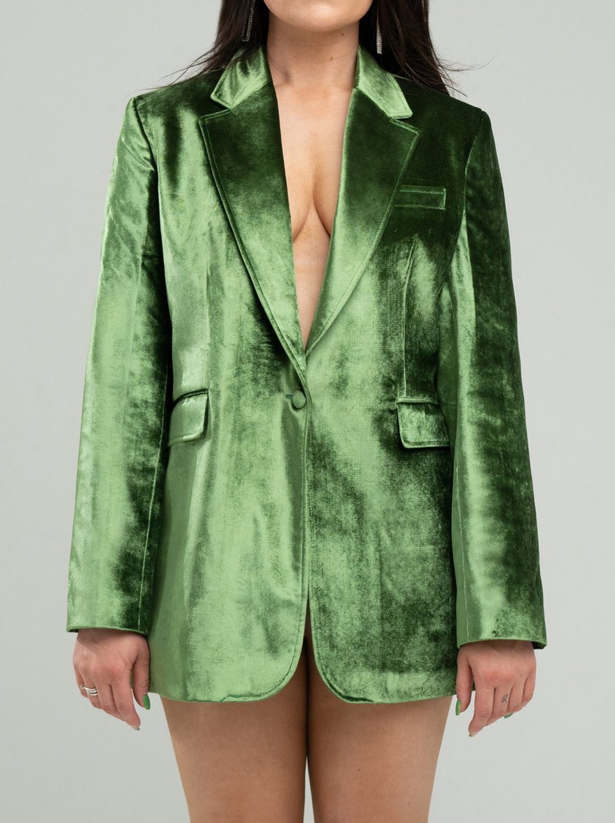 Dames Blazer - Blazer velours groen oversized (38-40)